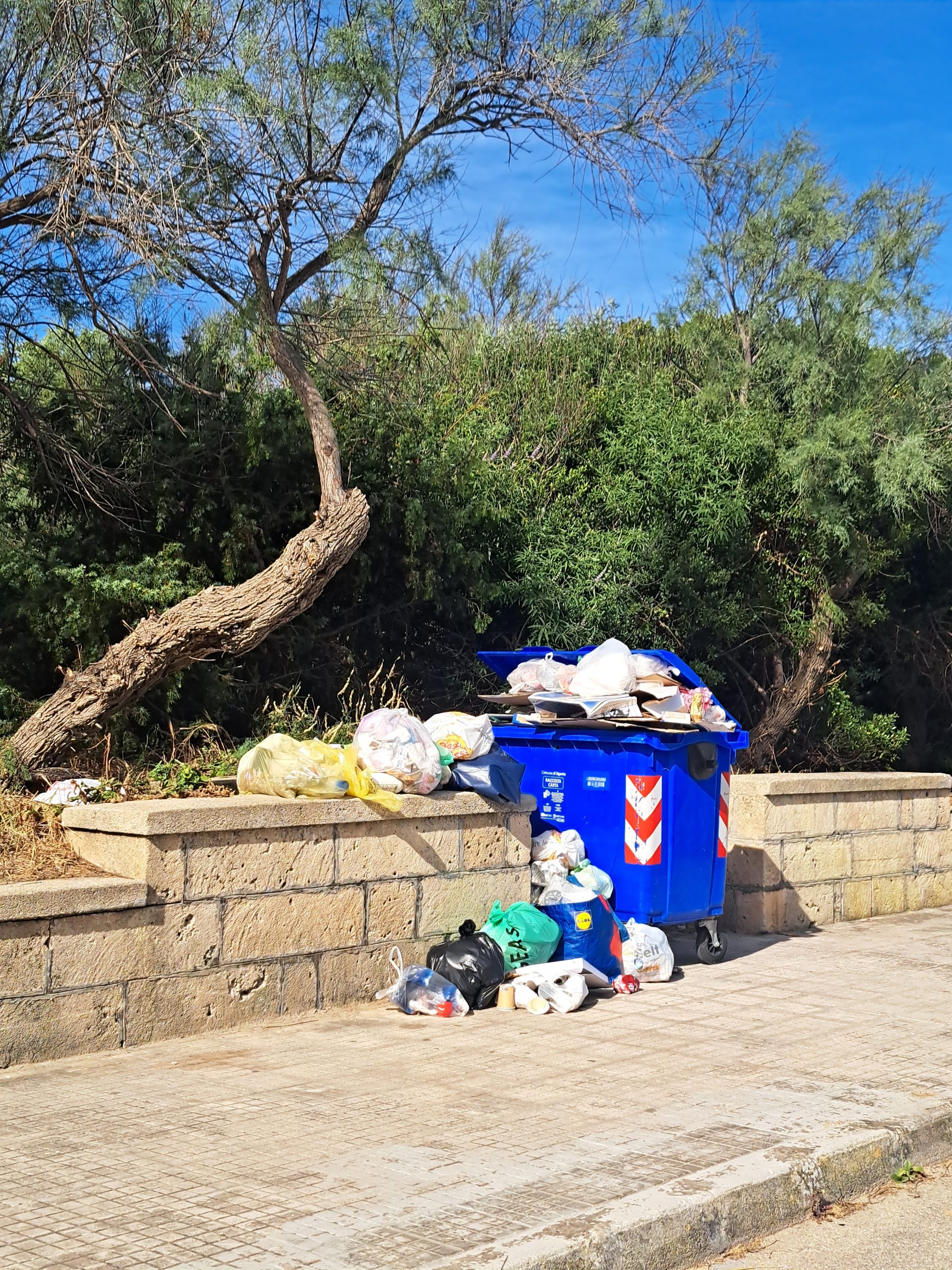 Foto allegata