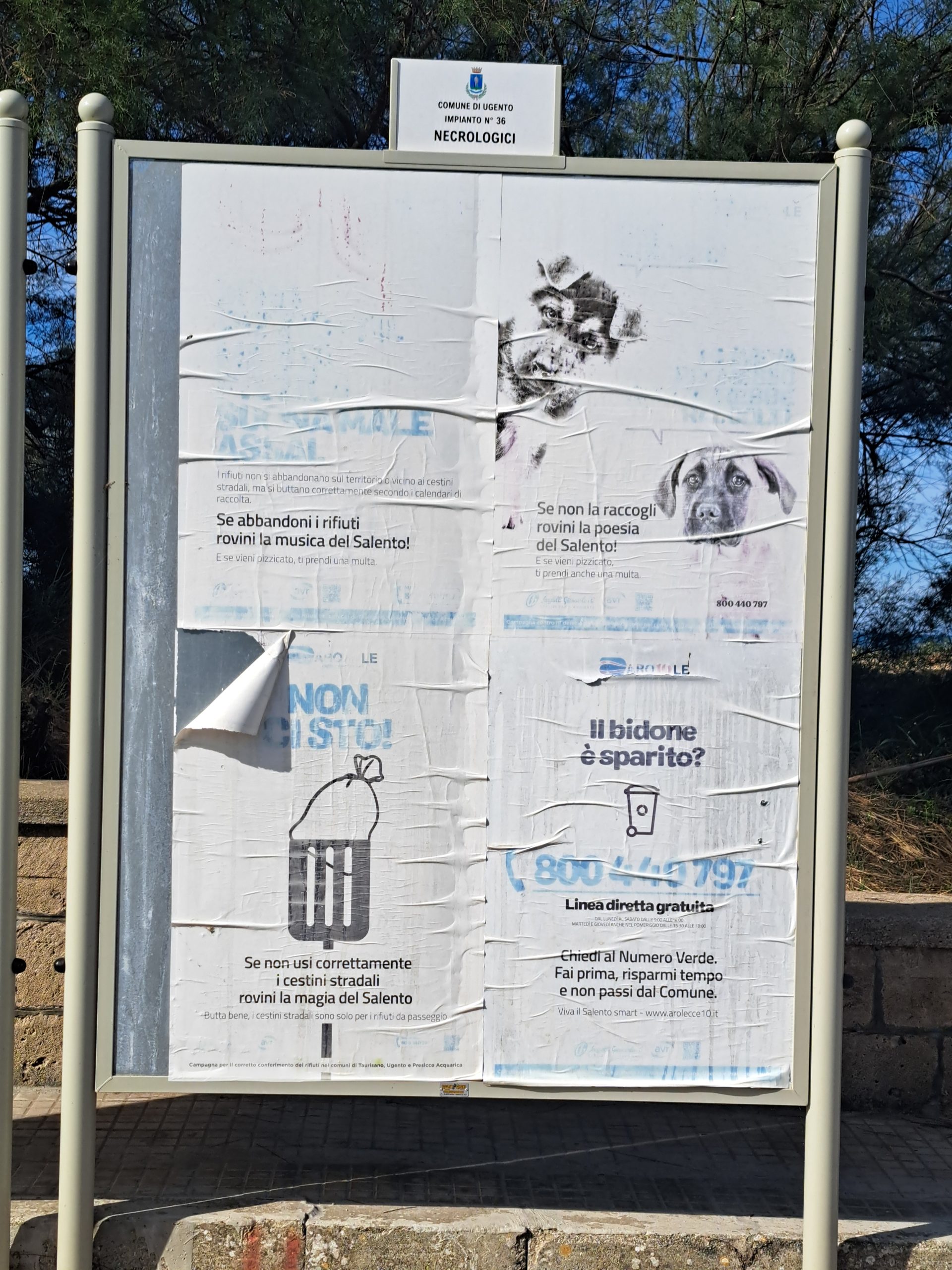 Foto allegata
