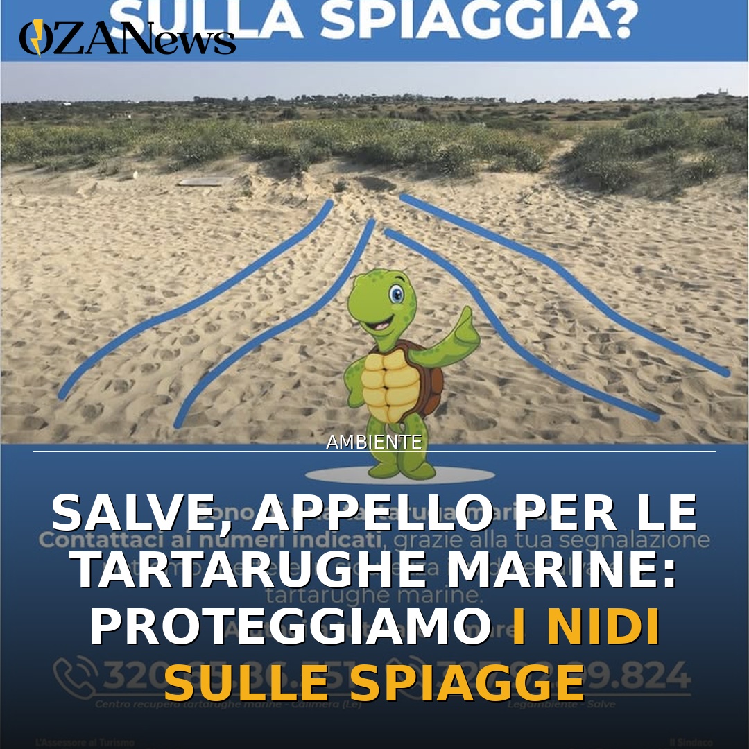 Salve, appello per le tartarughe marine: proteggiamo i nidi sulle spiagge