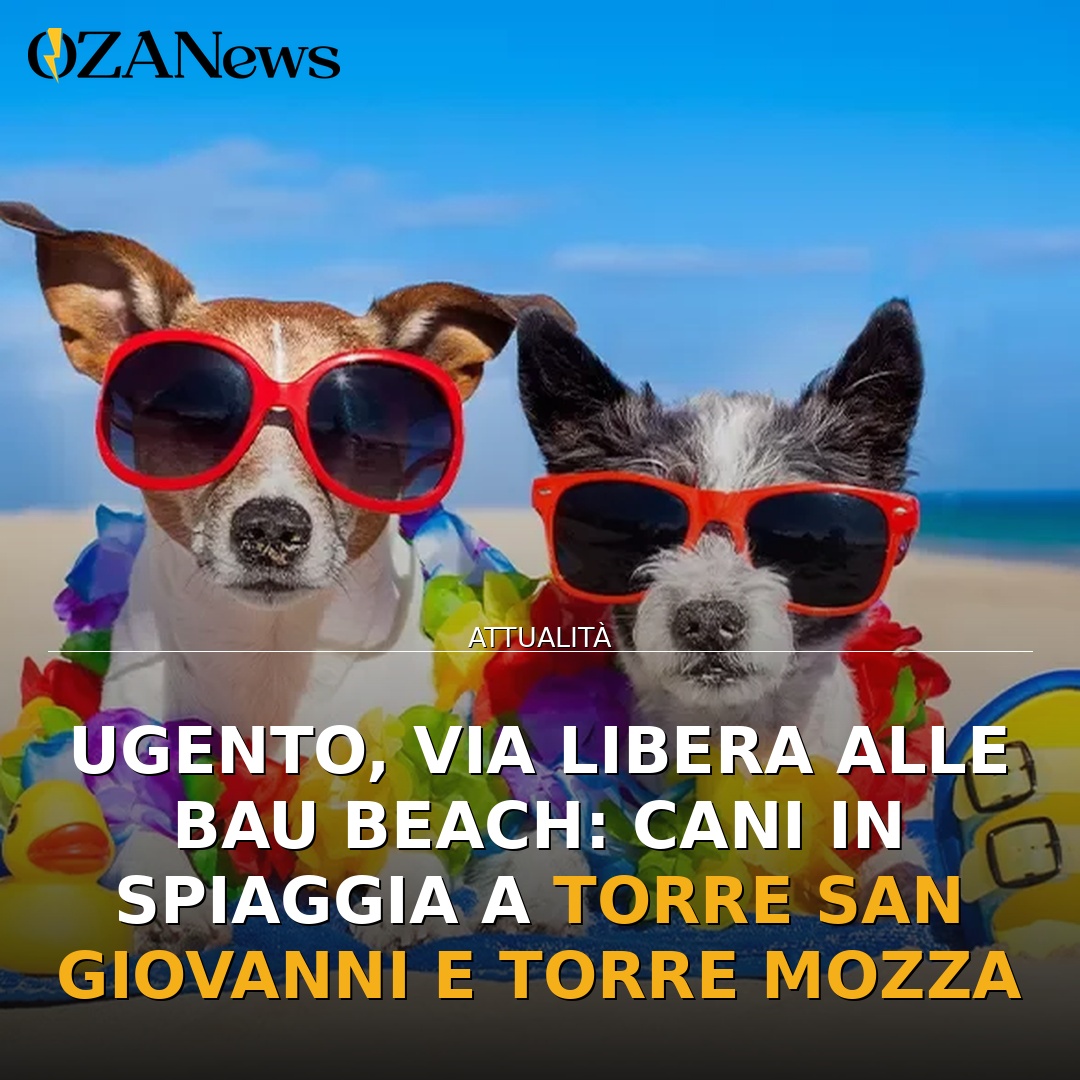 Ugento, via libera alle Bau Beach: cani in spiaggia a Torre San Giovanni e Torre Mozza