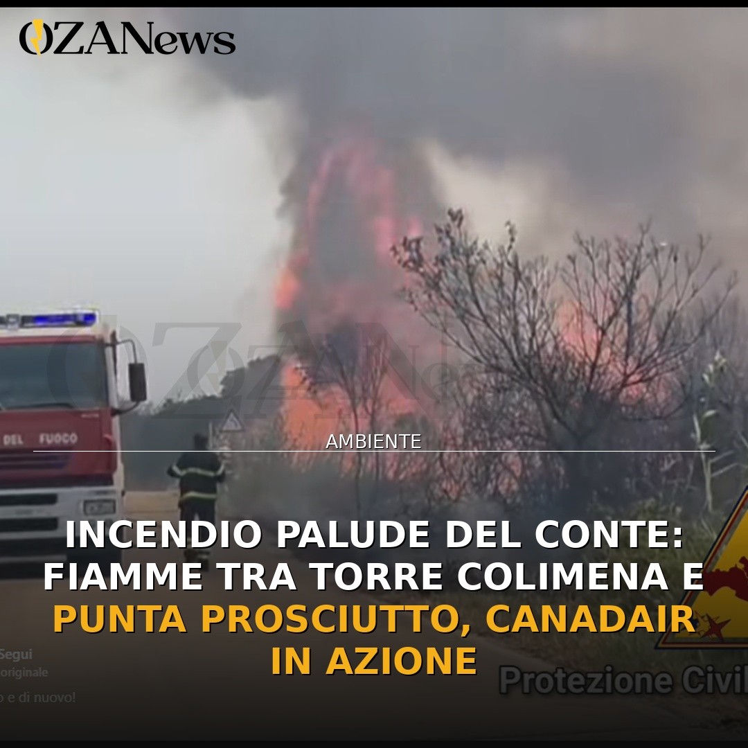 Incendio Palude del Conte: Fiamme tra Torre Colimena e Punta Prosciutto, Canadair in azione