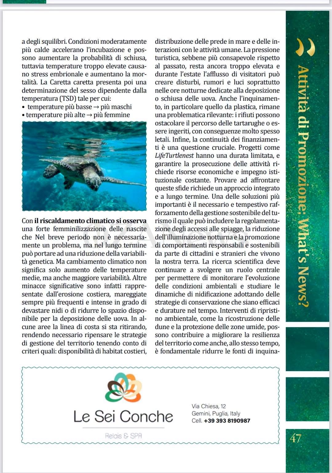 Foto allegata
