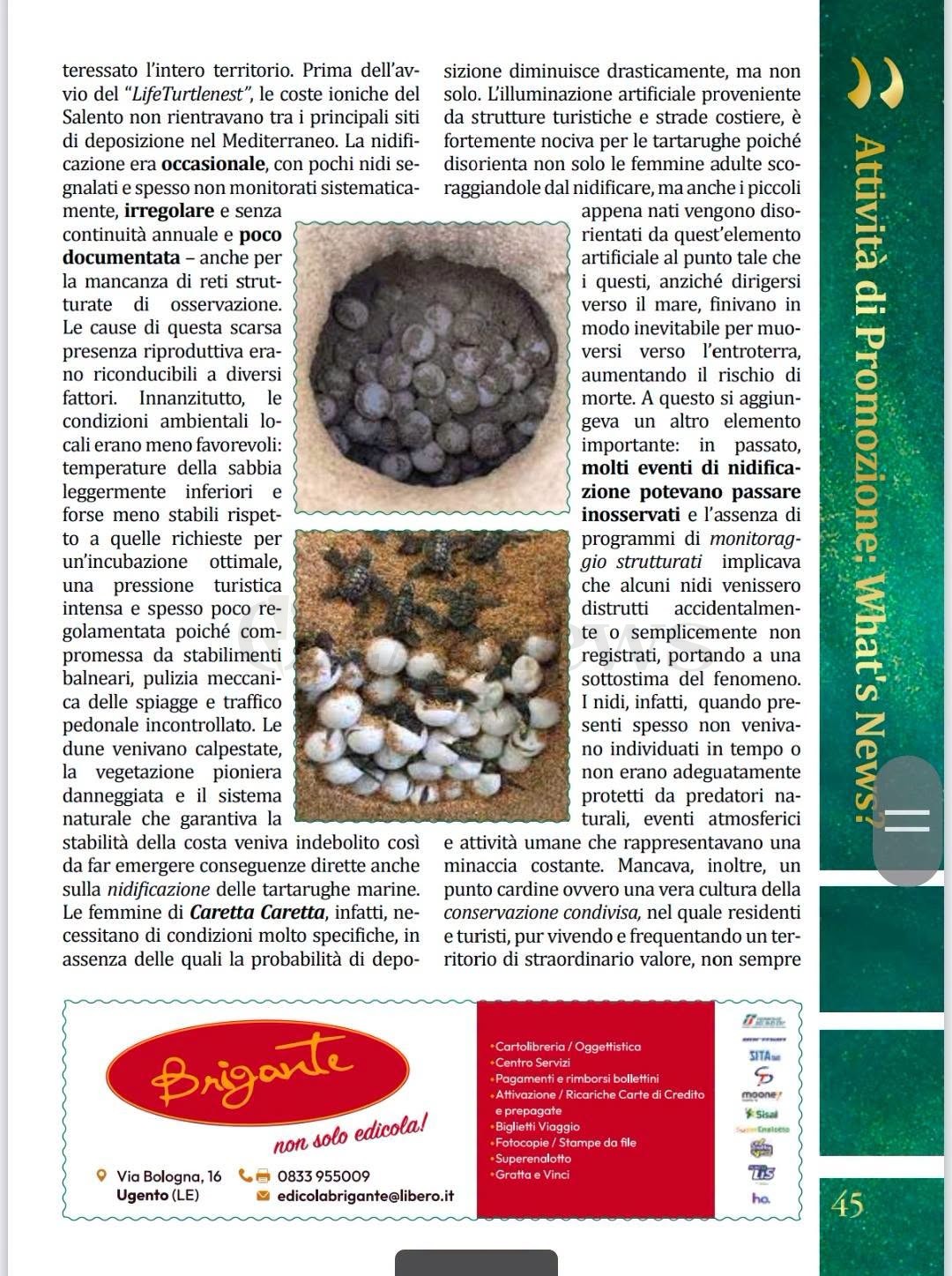 Foto allegata