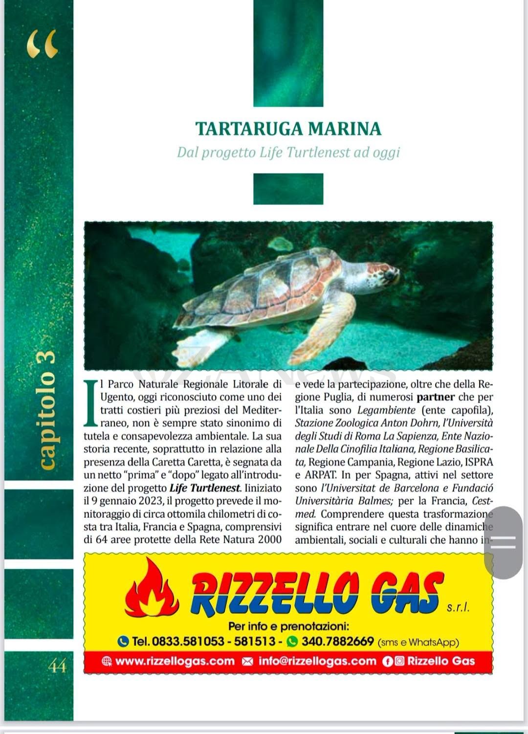 Foto allegata