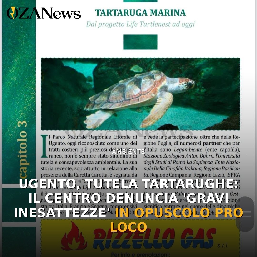 Ugento, tutela tartarughe: il Centro denuncia ‘gravi inesattezze’ in opuscolo Pro Loco