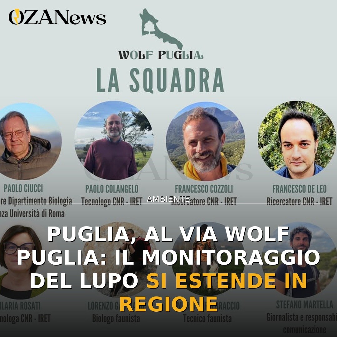 Puglia, al via Wolf Puglia: il monitoraggio del lupo si estende in regione