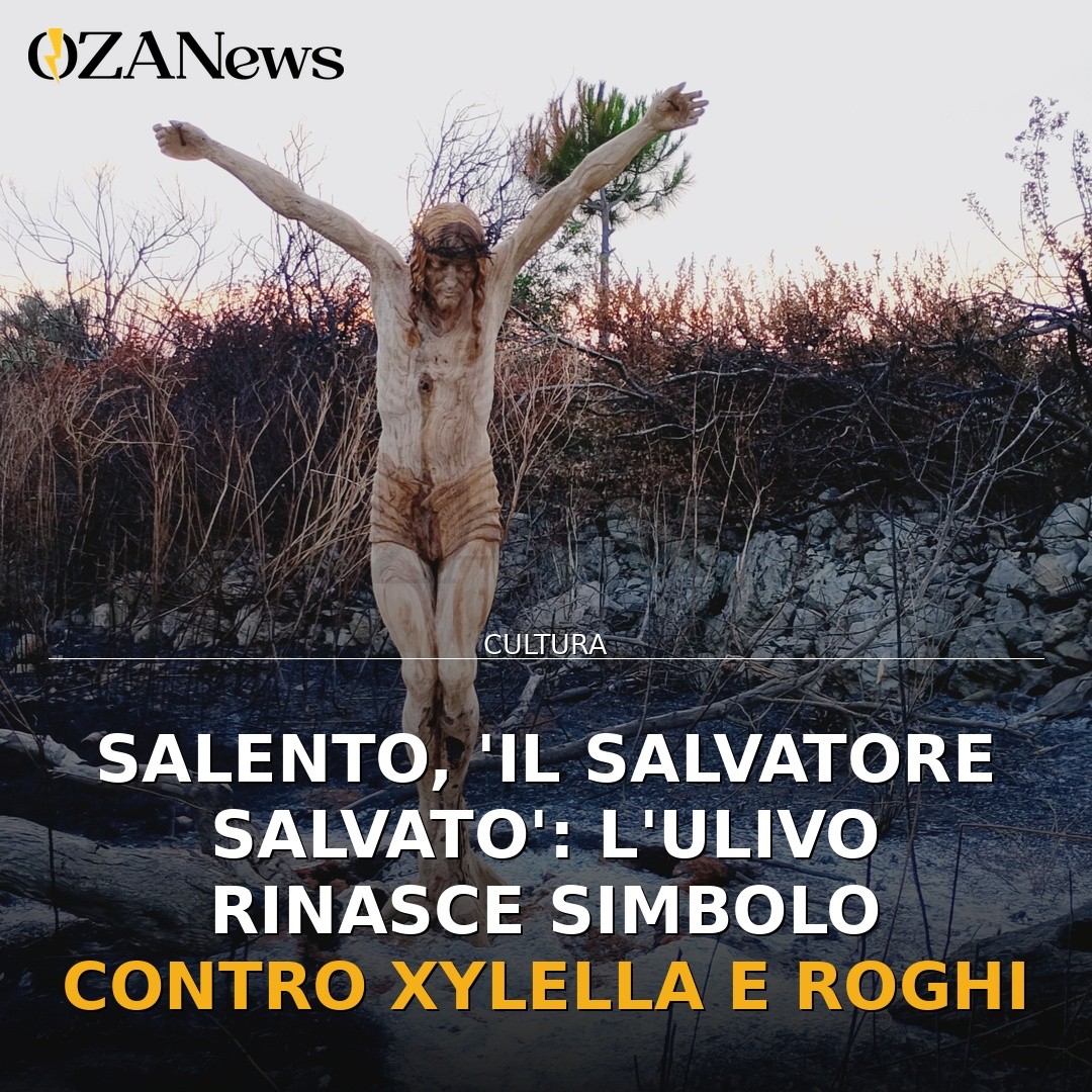Salento, ‘Il Salvatore salvato’: l’ulivo rinasce simbolo contro Xylella e roghi