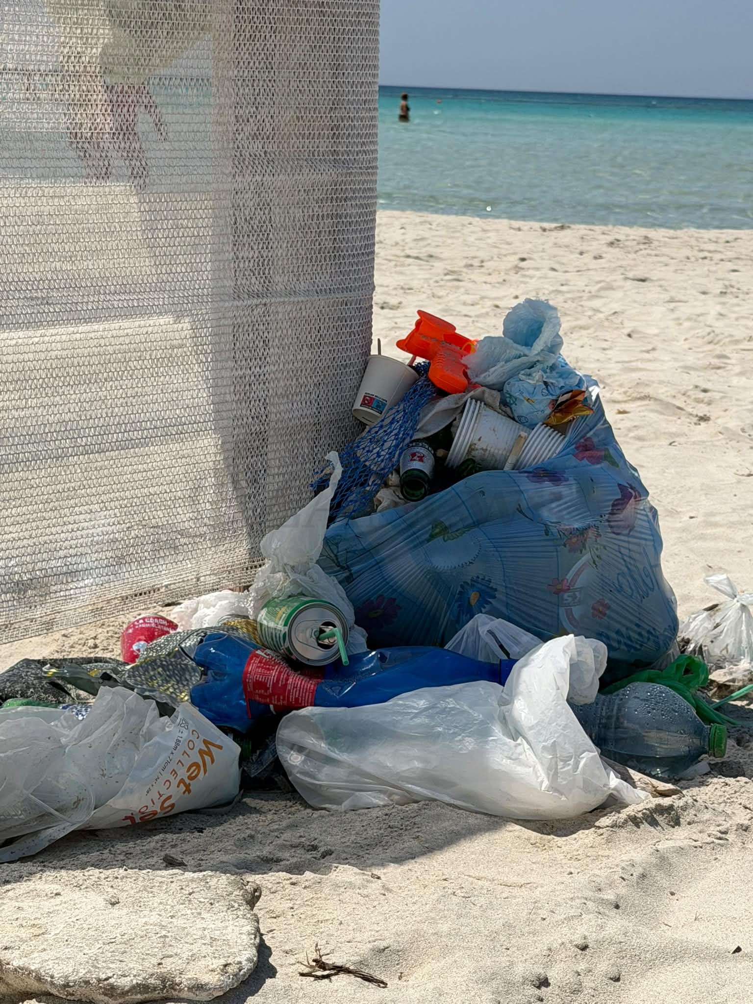 Foto allegata
