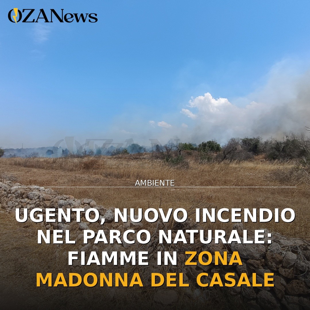 Ugento, nuovo incendio nel Parco Naturale: fiamme in zona Madonna del Casale