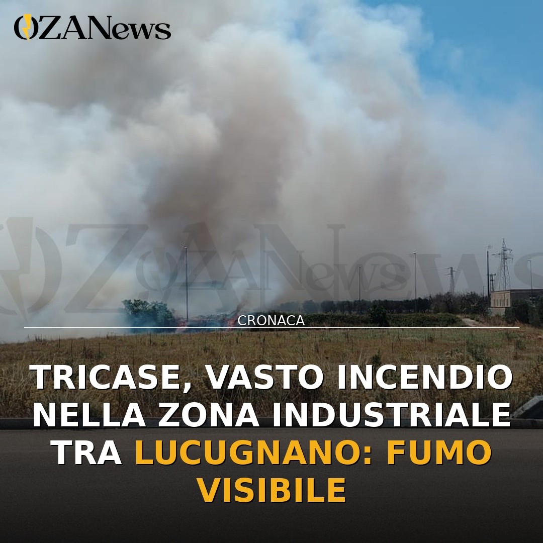 Tricase, vasto incendio nella zona industriale tra Lucugnano: fumo visibile