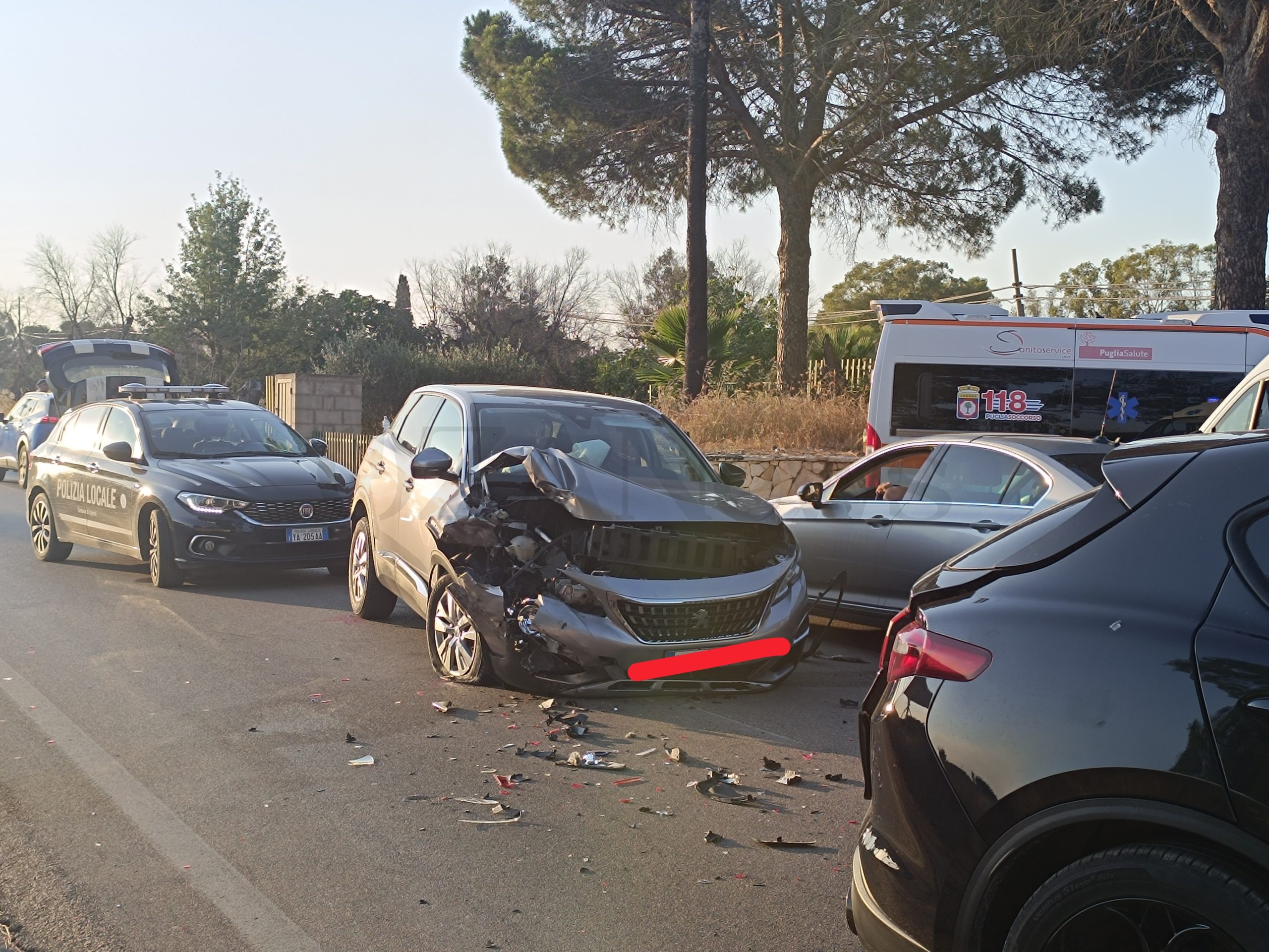 Foto allegata