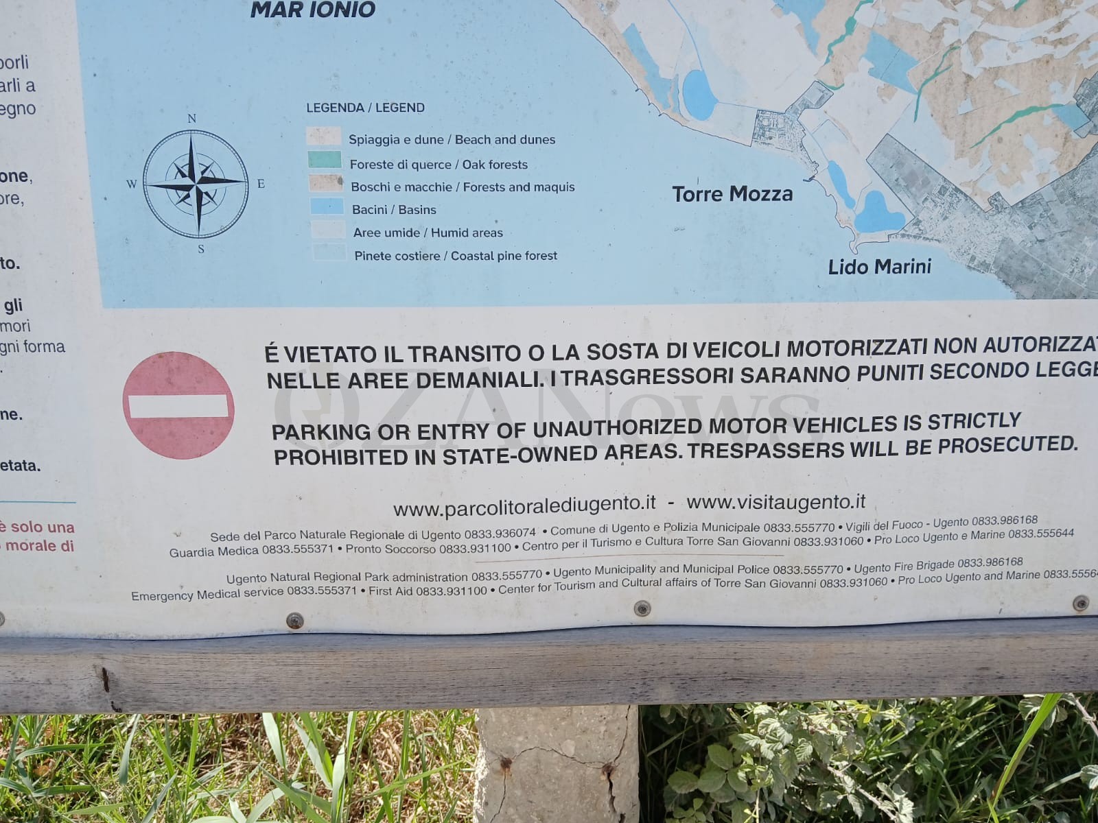 Foto allegata