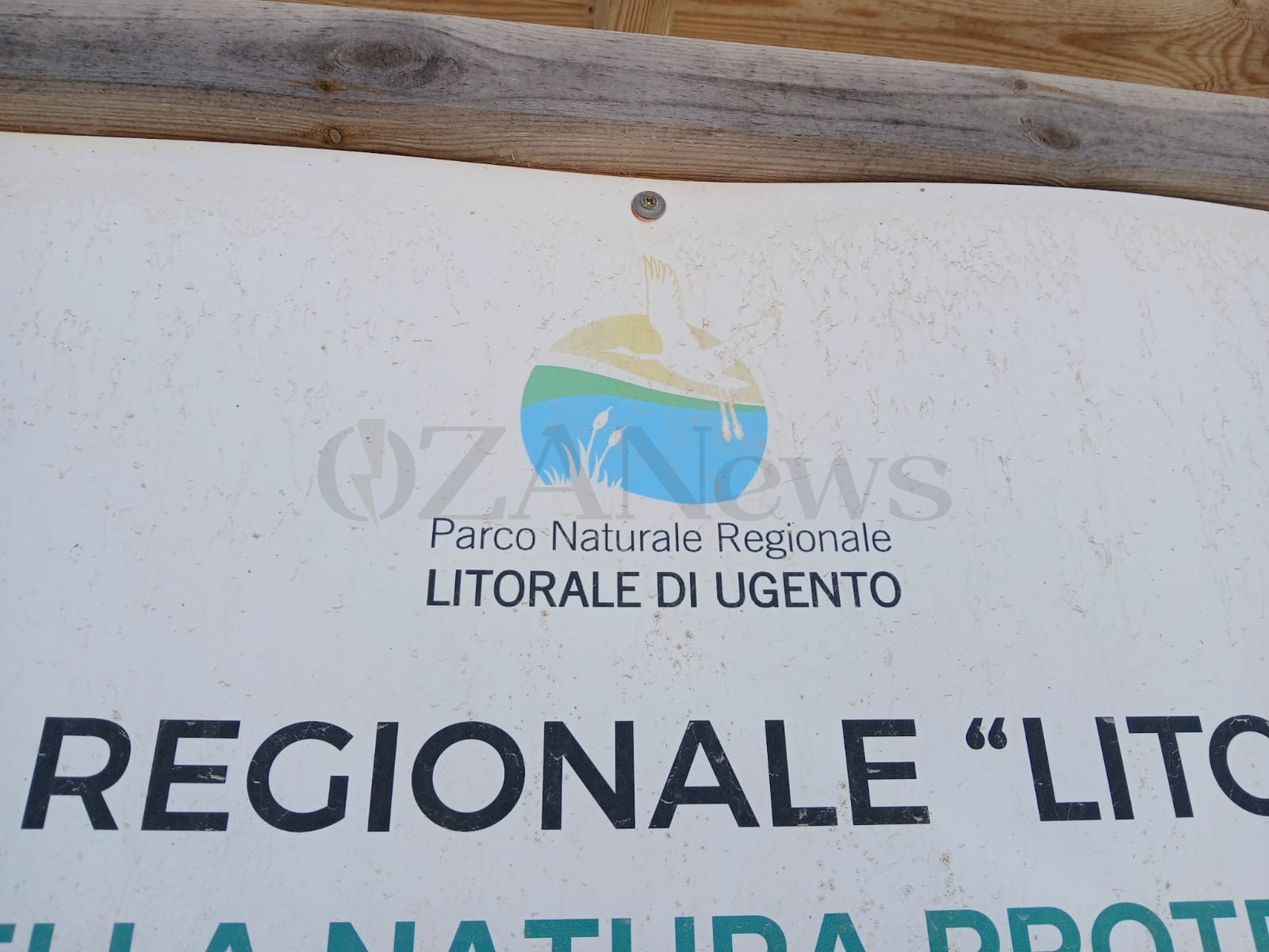 Foto allegata