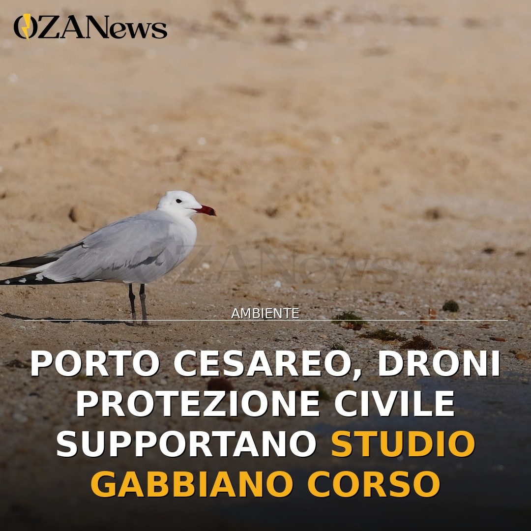 Porto Cesareo, droni Protezione Civile supportano studio gabbiano corso