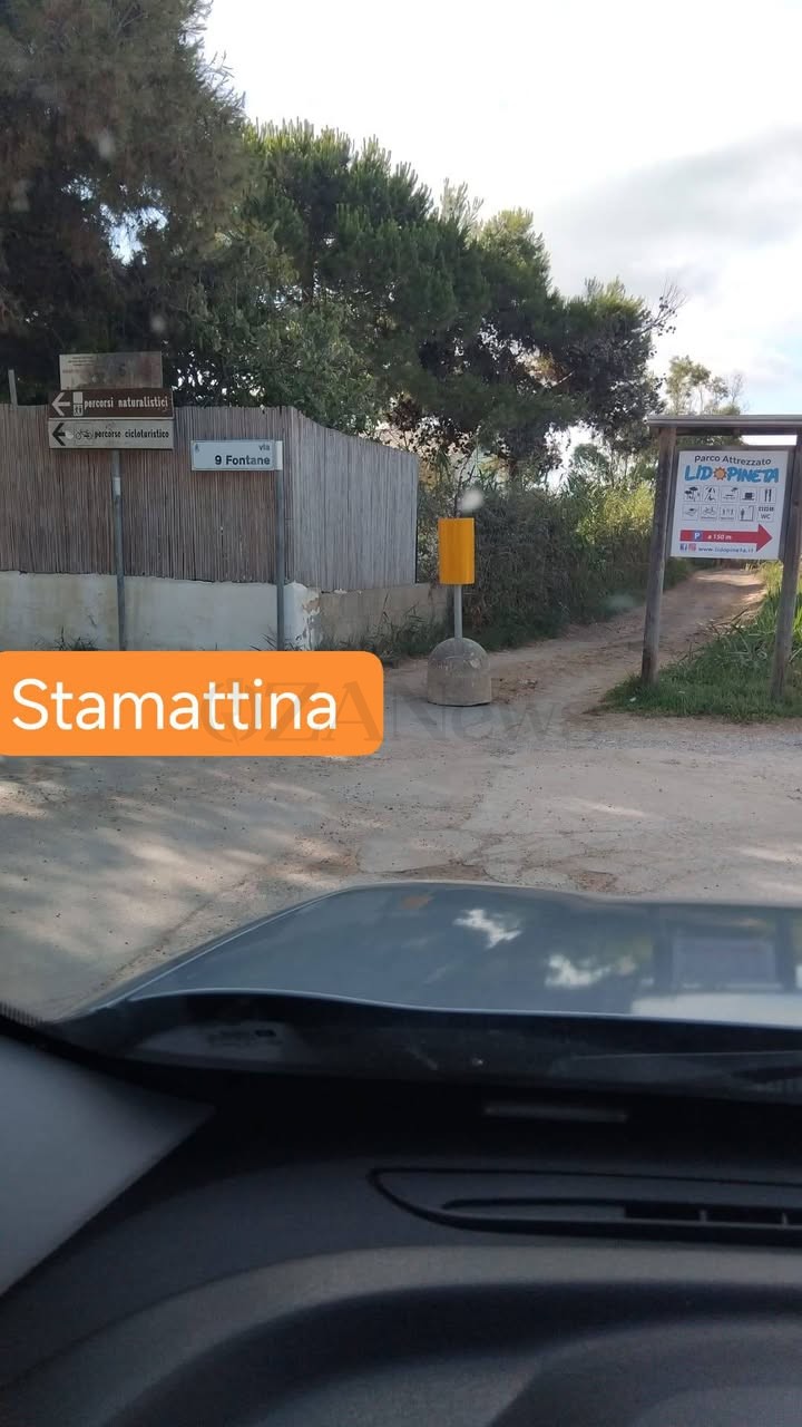 Foto allegata