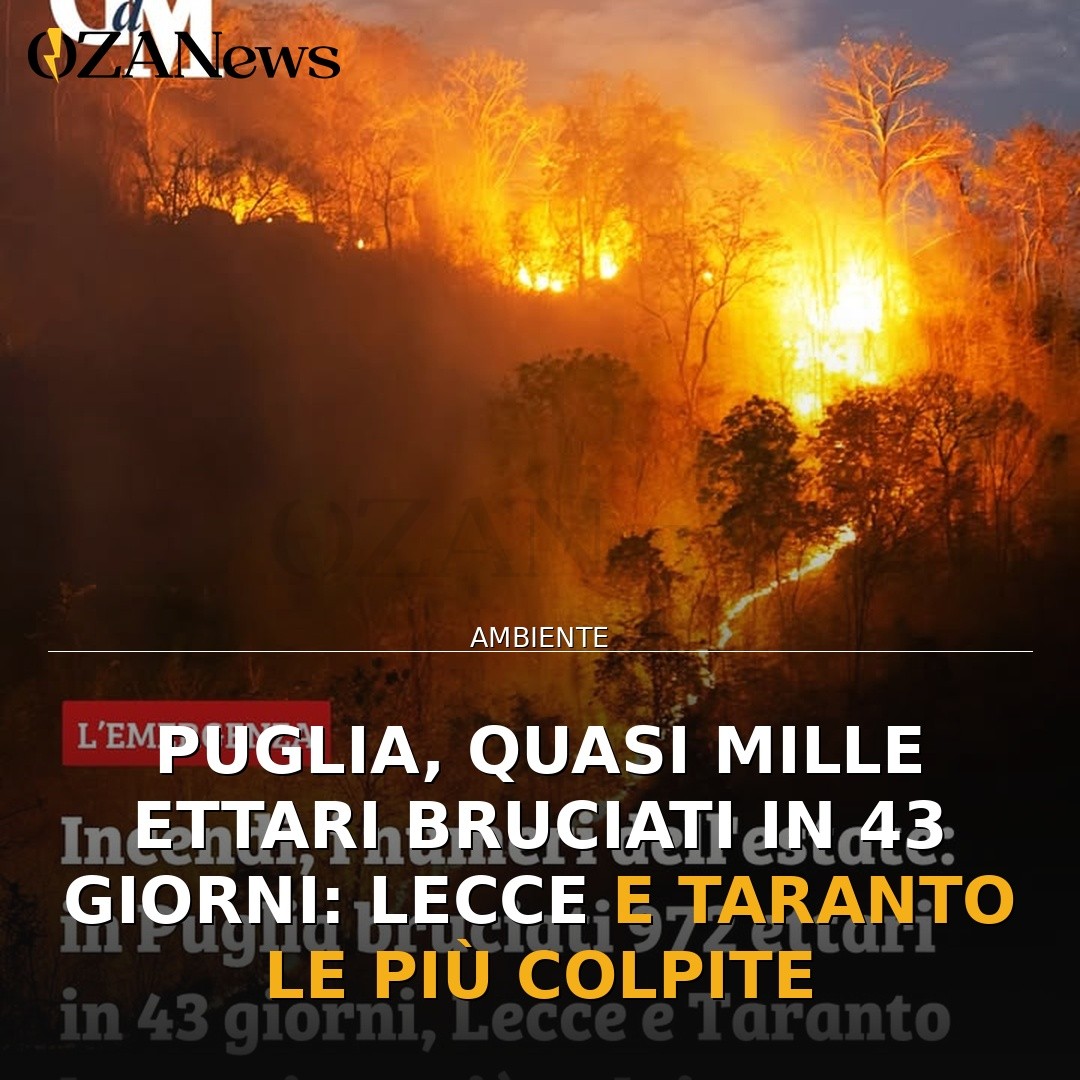 Puglia, quasi mille ettari bruciati in 43 giorni: Lecce e Taranto le più colpite