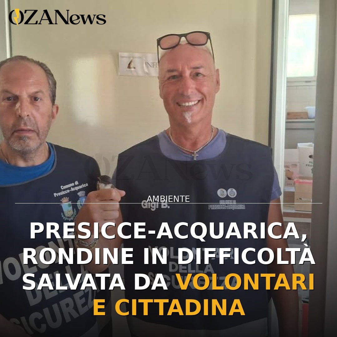 Presicce-Acquarica, rondine in difficoltà salvata da volontari e cittadina