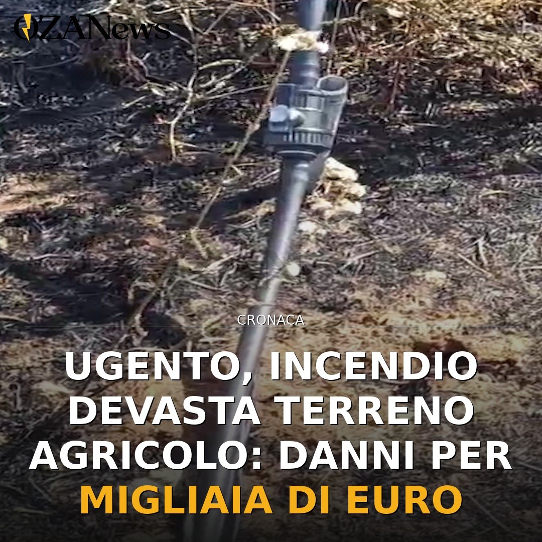 Ugento, incendio devasta terreno agricolo: danni per migliaia di euro