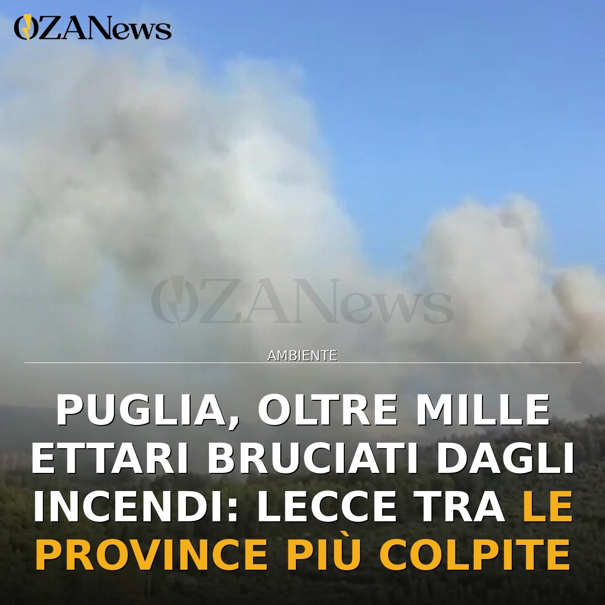 Puglia, oltre mille ettari bruciati dagli incendi: Lecce tra le province più colpite