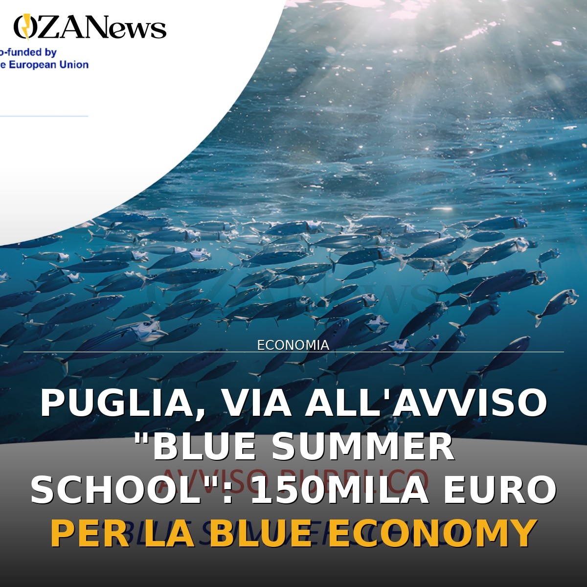Puglia, via all’Avviso “Blue Summer School”: 150mila euro per la Blue Economy