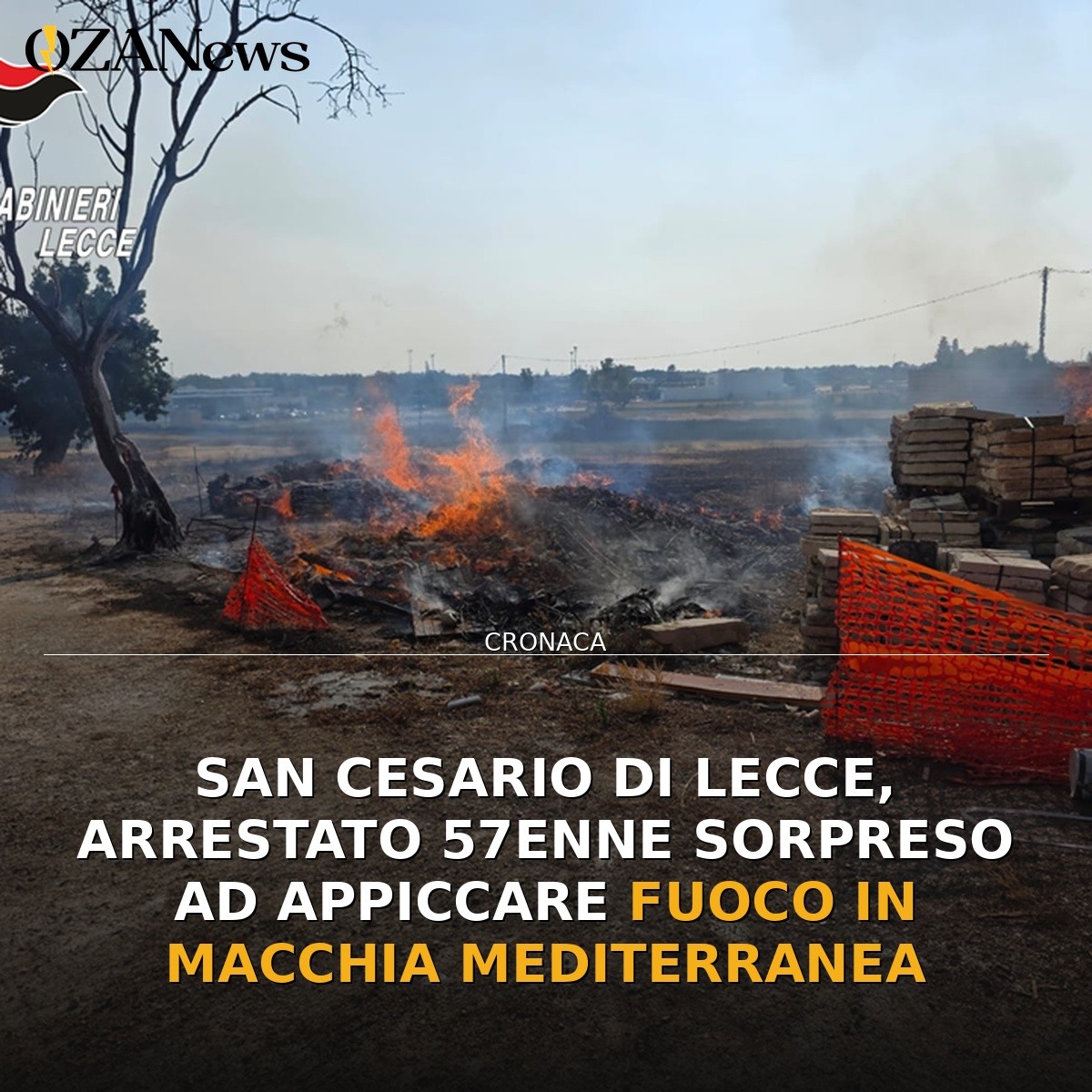San Cesario di Lecce, arrestato 57enne sorpreso ad appiccare fuoco in macchia mediterranea