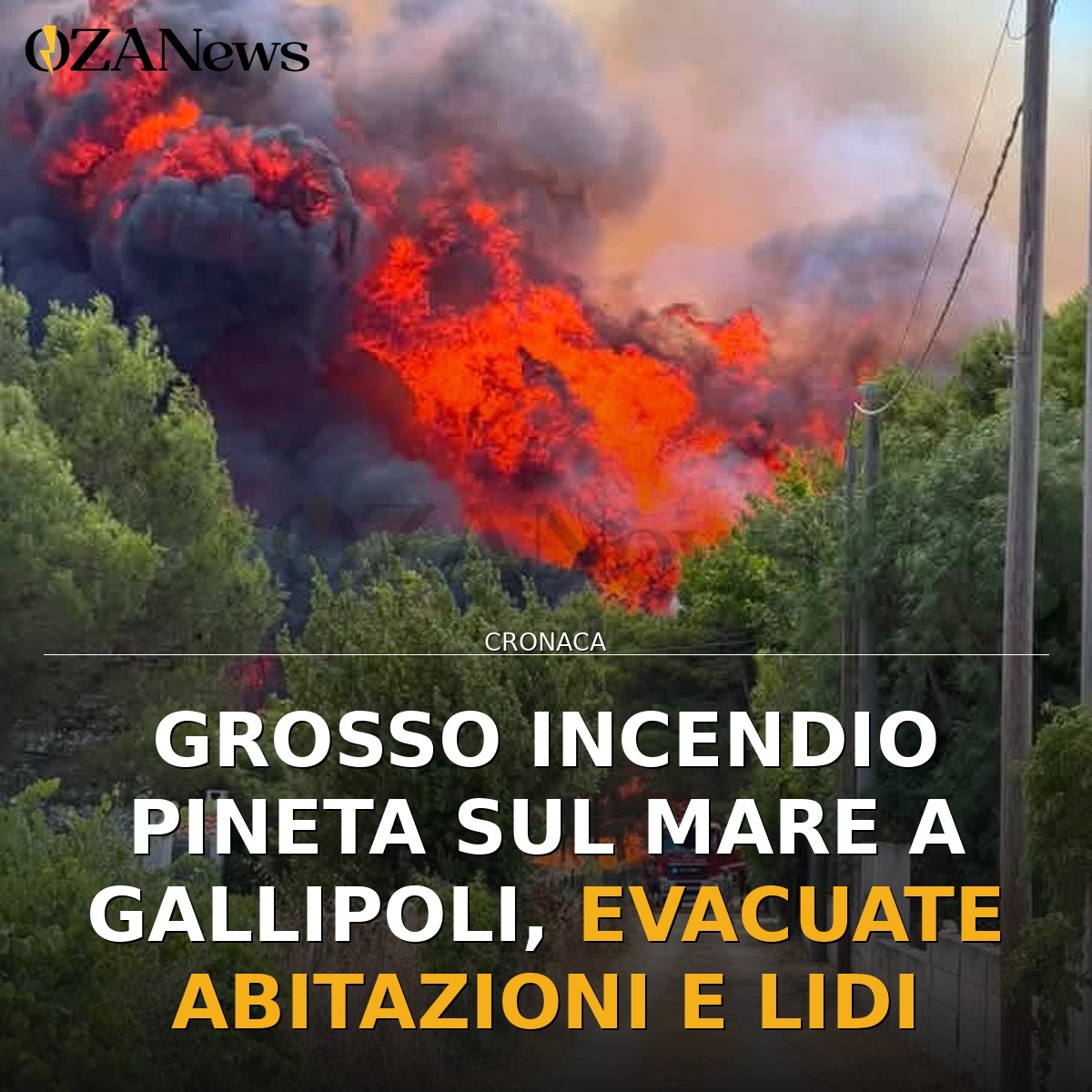 Grosso incendio pineta sul mare a Gallipoli, evacuate abitazioni e lidi