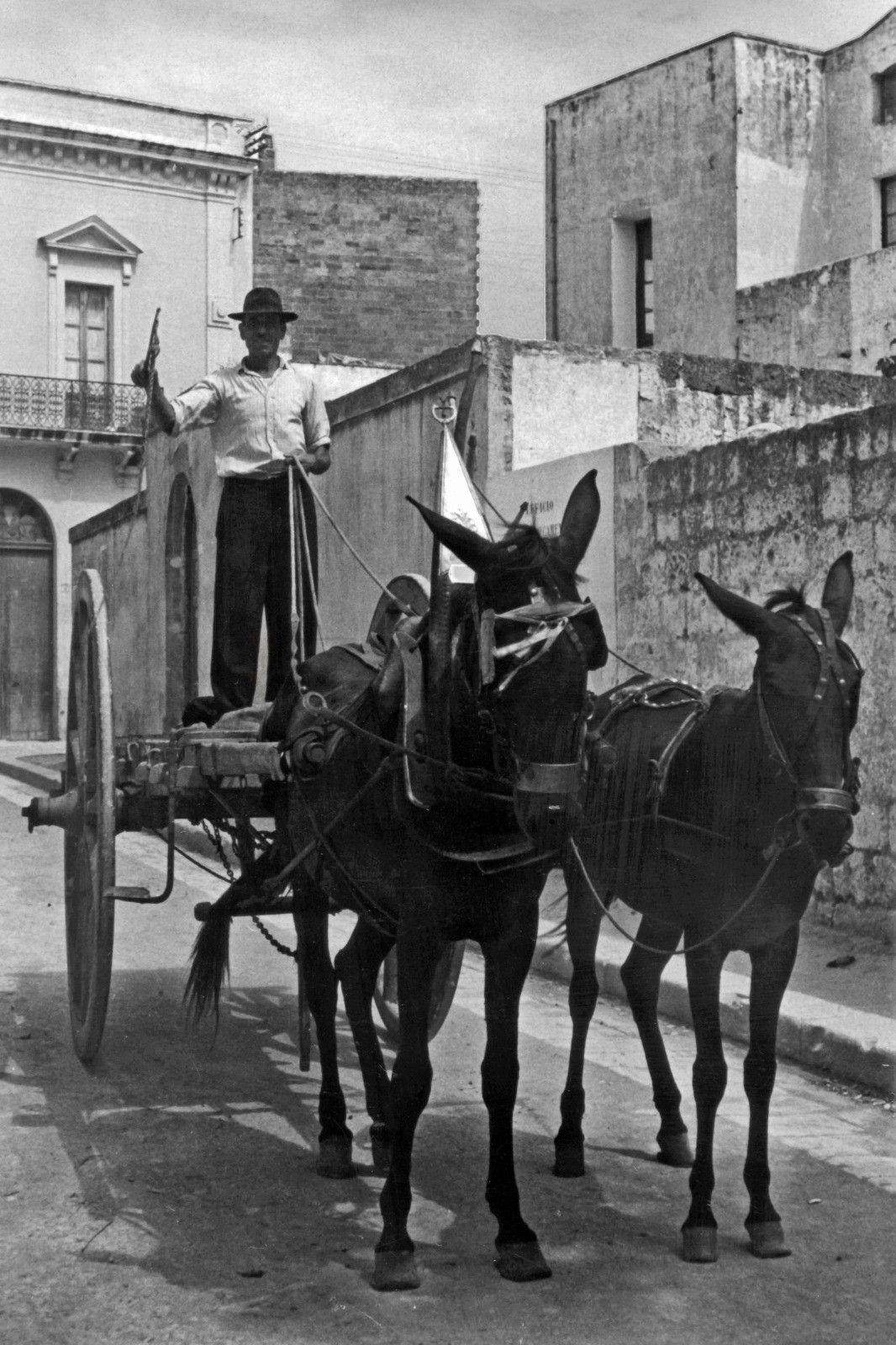 OzaNews Storico: Ricordi di un tempo
