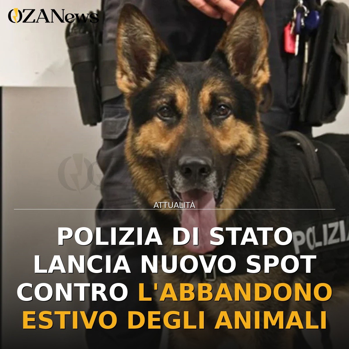 Polizia di Stato lancia nuovo spot contro l’abbandono estivo degli animali