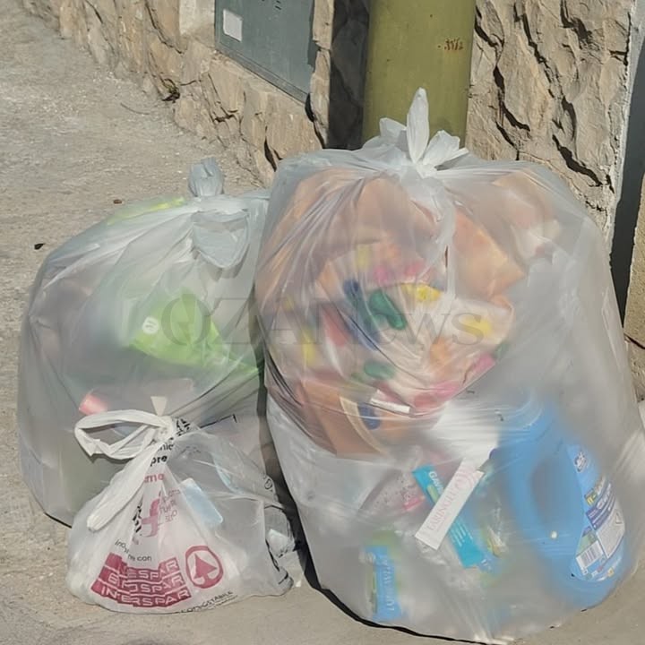 Foto allegata