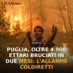Puglia, oltre 4.900 ettari bruciati in due mesi: l'allarme Coldiretti
