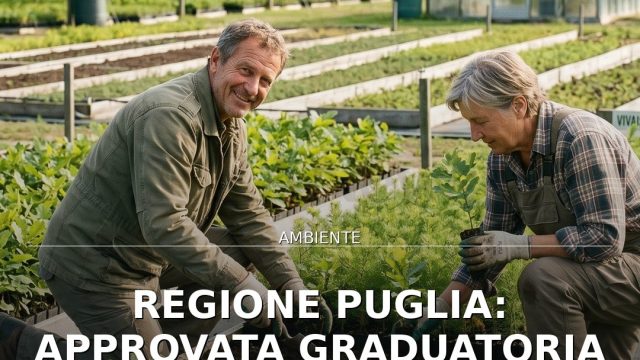 Video: Regione Puglia: approvata graduatoria incentivi per vivaistica forestale privata