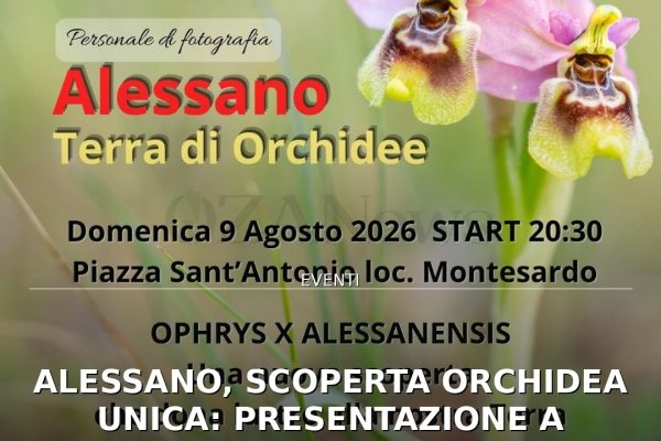 Alessano, scoperta orchidea unica: presentazione a Montesardo con ‘Artetica’