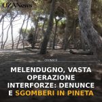 Melendugno, vasta operazione interforze: denunce e sgomberi in pineta