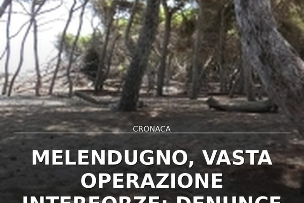 Melendugno, vasta operazione interforze: denunce e sgomberi in pineta