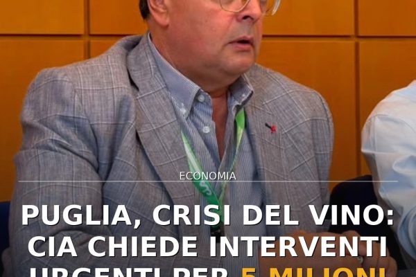 Puglia, crisi del vino: CIA chiede interventi urgenti per 5 milioni di ettolitri