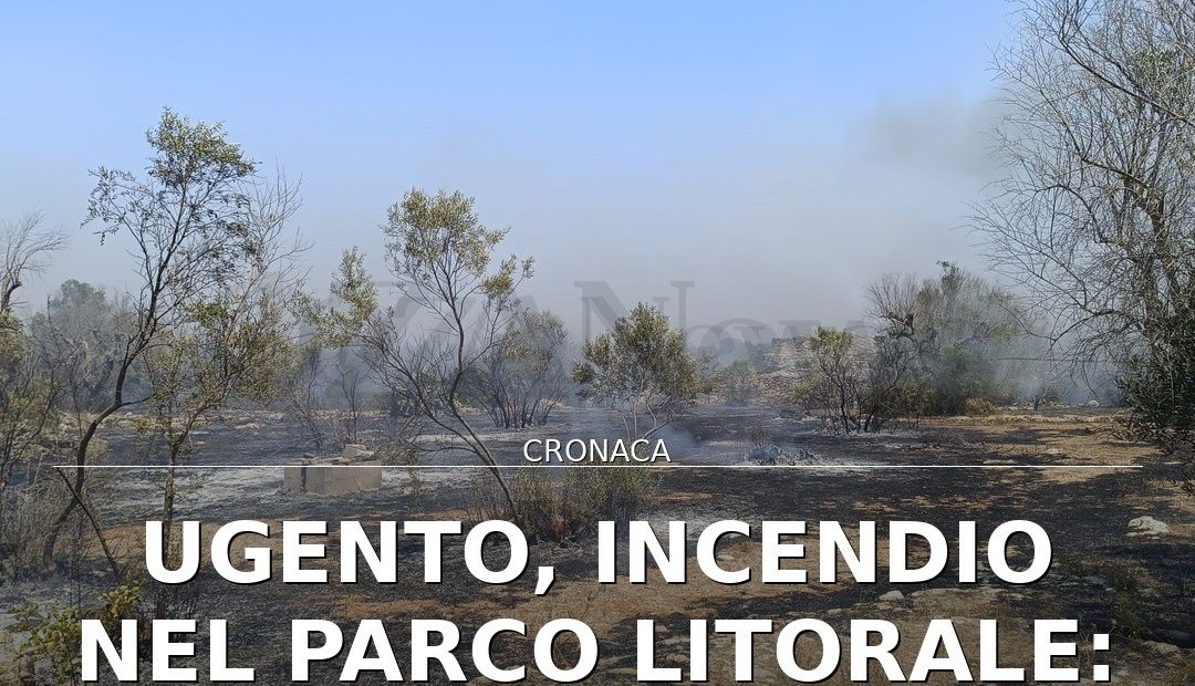 Ugento, incendio nel Parco Litorale: fiamme vicino al Casale