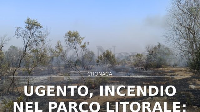 Ugento, incendio nel Parco Litorale: fiamme vicino al Casale