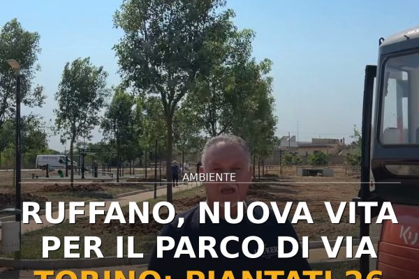 Ruffano, nuova vita per il parco di via Torino: piantati 26 alberi