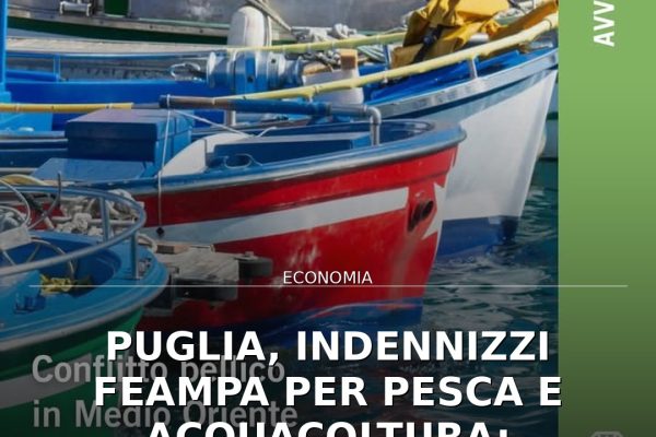 Puglia, indennizzi FEAMPA per pesca e acquacoltura: scadenza 16 settembre