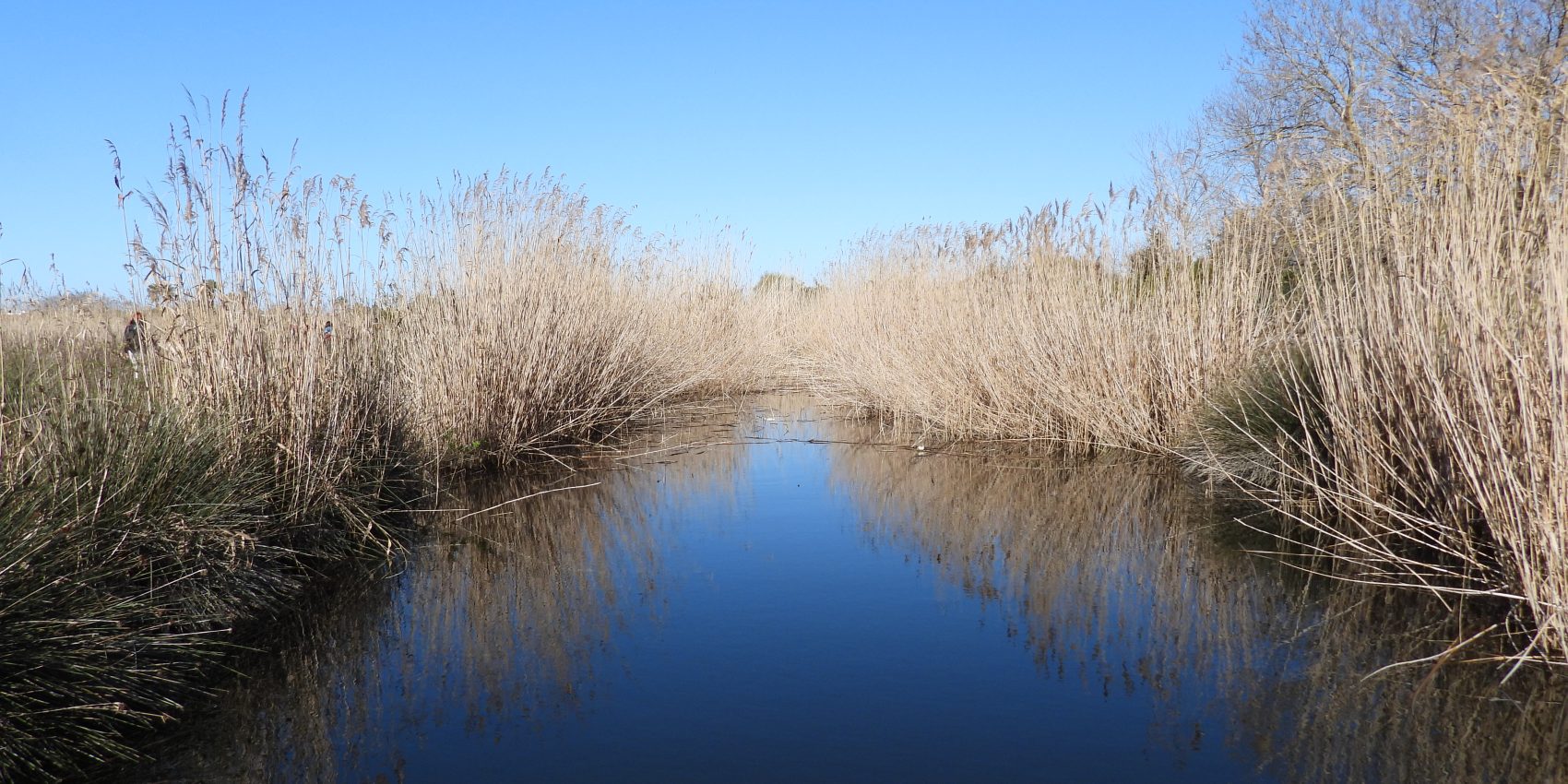 Ugento, consultazione pubblica su Litorale Natura 2000