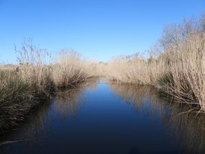 Ugento, consultazione pubblica su Litorale Natura 2000