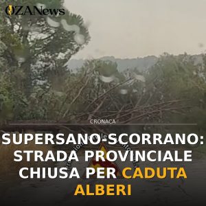 Supersano-Scorrano: Strada Provinciale Chiusa per Caduta Alberi