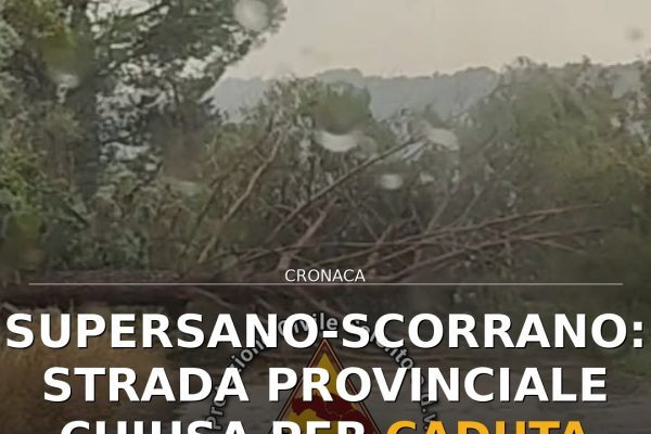 Supersano-Scorrano: Strada Provinciale Chiusa per Caduta Alberi