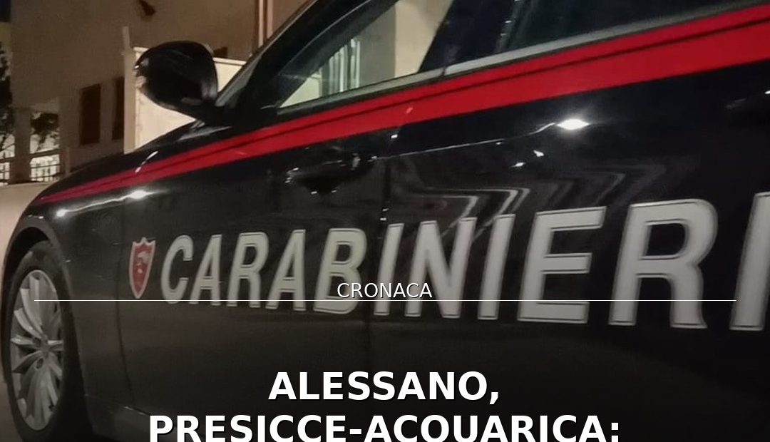 Anteprima di: Alessano, Presicce‑Acquarica: Carabinieri intervengono contro violenza di genere