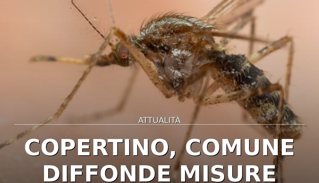 Anteprima di: Copertino, Comune diffonde misure anti West Nile per la cittadinanza