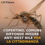 Anteprima di: Copertino, Comune diffonde misure anti West Nile per la cittadinanza