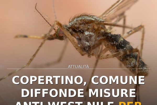 Copertino, Comune diffonde misure anti West Nile per la cittadinanza