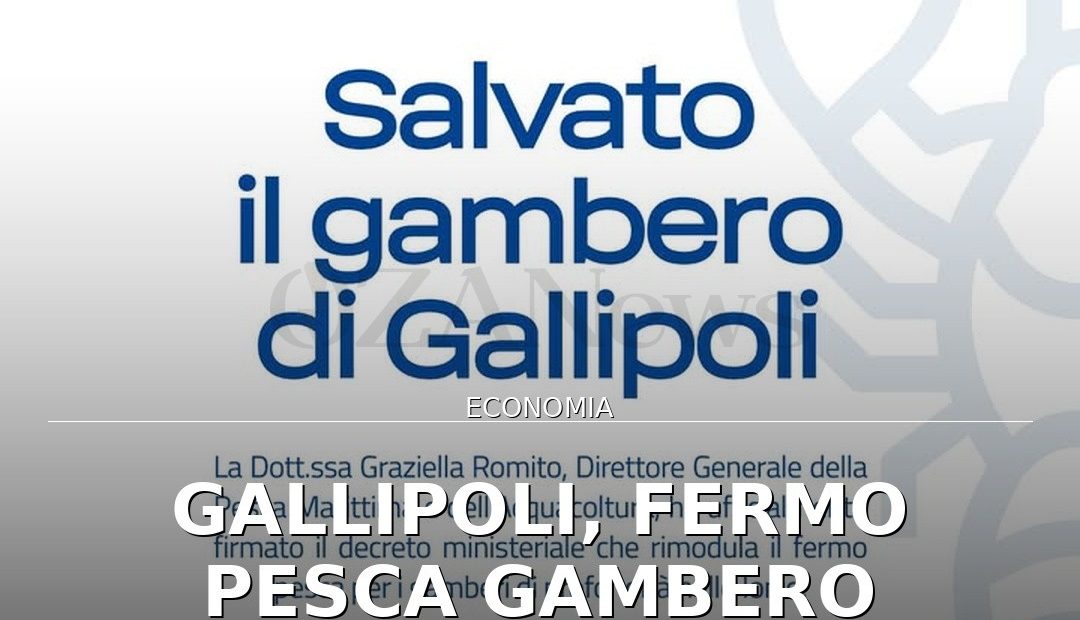 Foto di copertina: Gallipoli, fermo pesca gambero rimodulato: sollievo per la marineria - Basso Salento