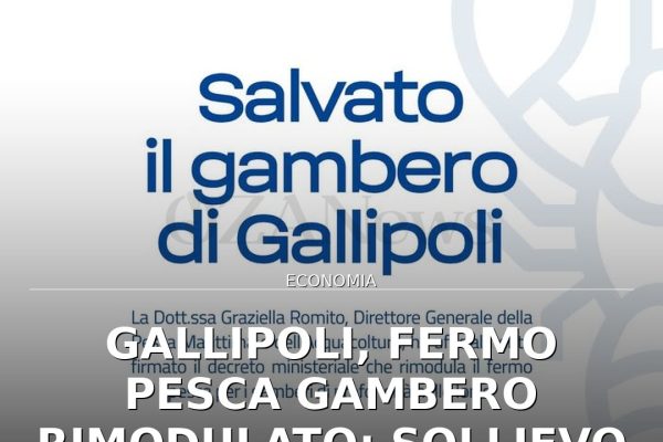 Gallipoli, fermo pesca gambero rimodulato: sollievo per la marineria