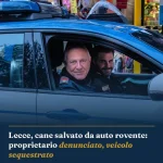 Anteprima di: Lecce, cane salvato da auto rovente: proprietario denunciato, veicolo sequestrato